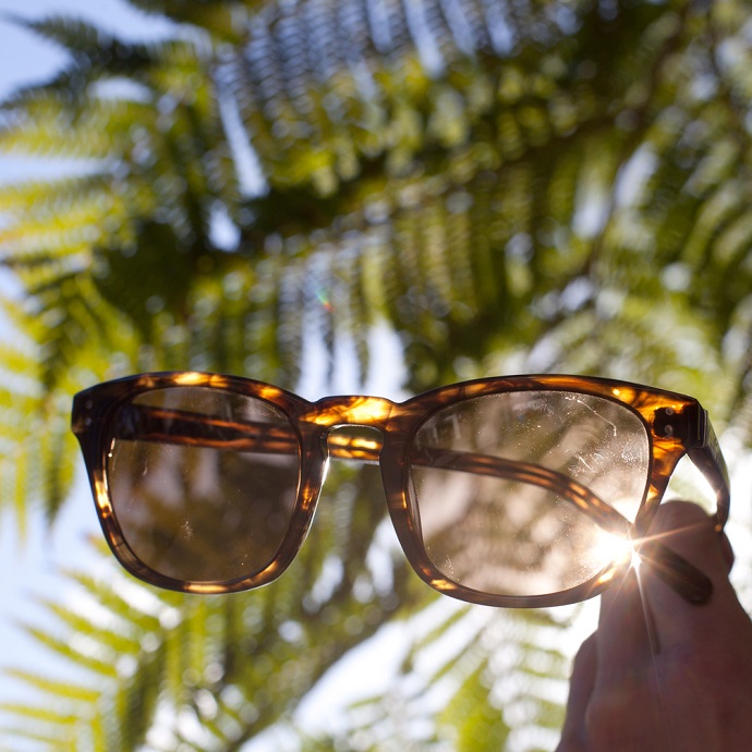 Derek Cardigan sunglasses